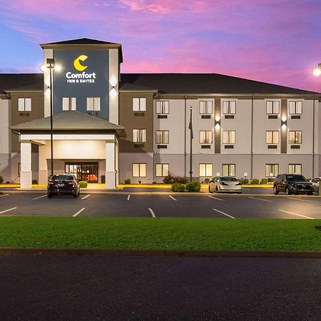 Comfort Inn & Suites Cave City Ngoại thất bức ảnh