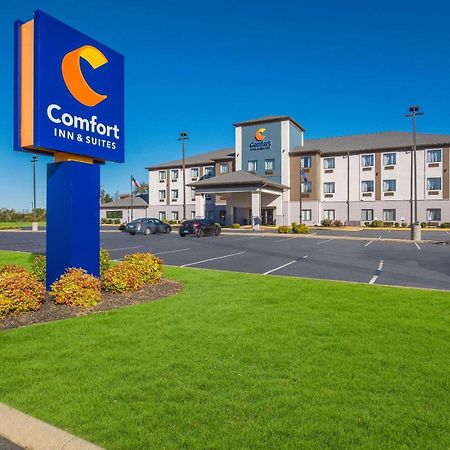 Comfort Inn & Suites Cave City Ngoại thất bức ảnh